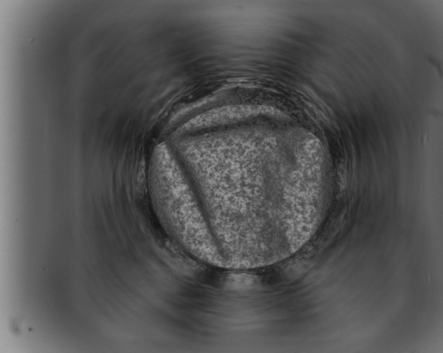 X0000091690376200709201303