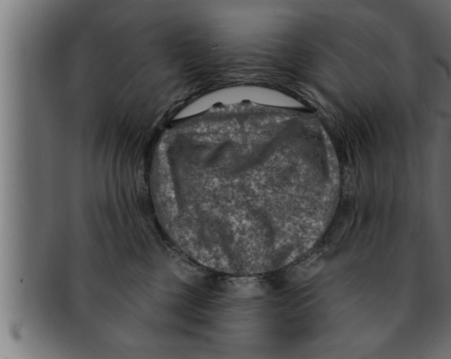 X0000091690377200709201303