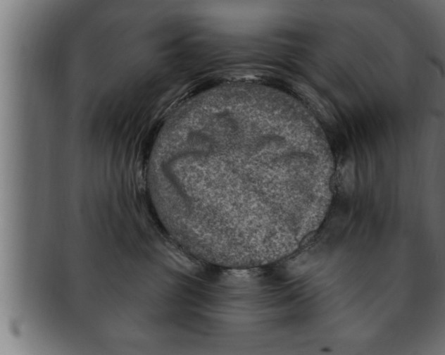 X0000091690381200709201303