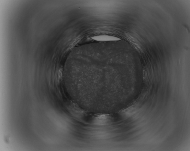 X0000091690382200709201303