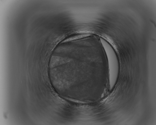 X0000091690385200709201302