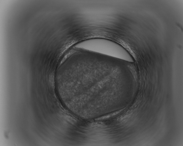 X0000091690386200709201302