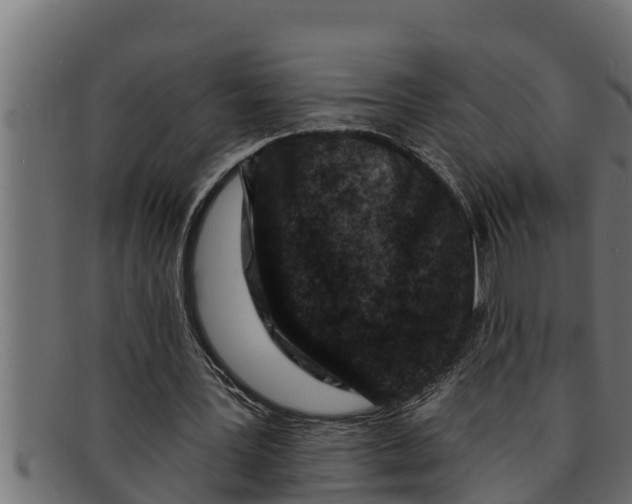 X0000091690387200709201302