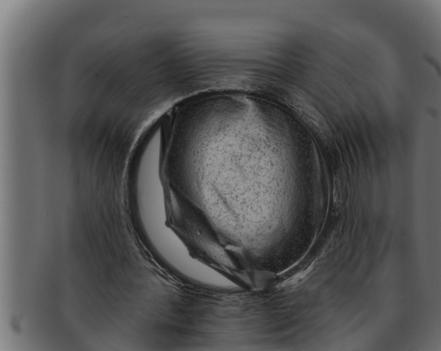 X0000091690388200709201302