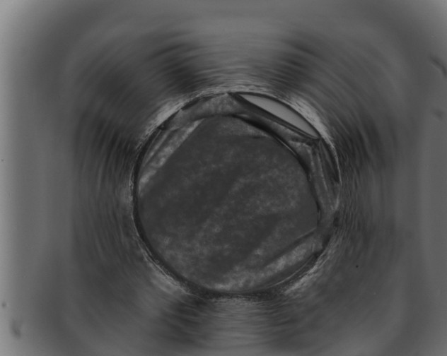 X0000091690389200709201302