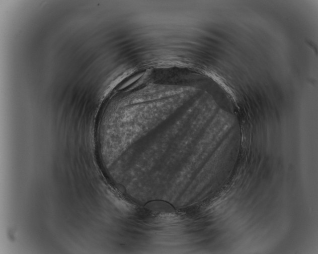 X0000091690390200709201302