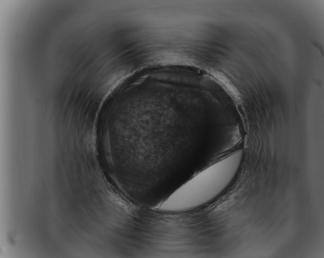 X0000091690391200709201302