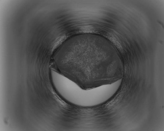 X0000091690397200709201302