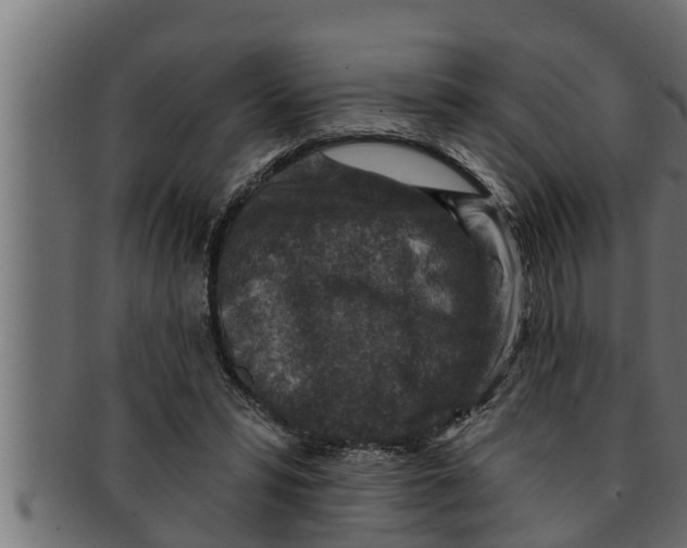 X0000091690399200709201302