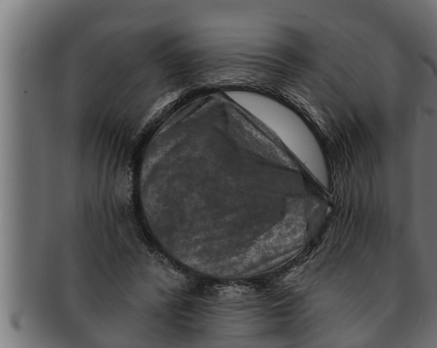 X0000091690400200709201302