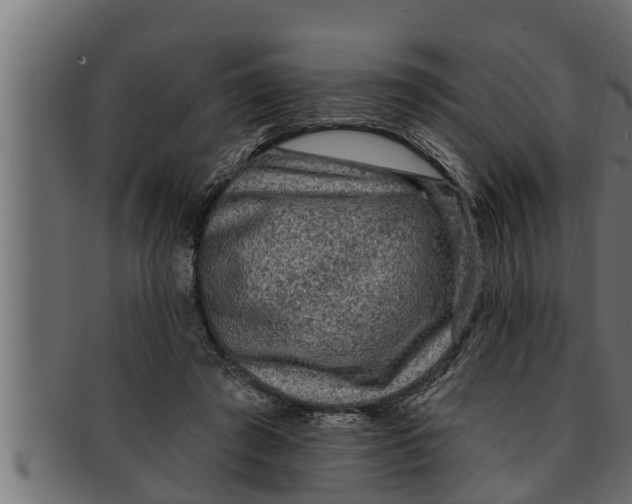 X0000091690401200709201302