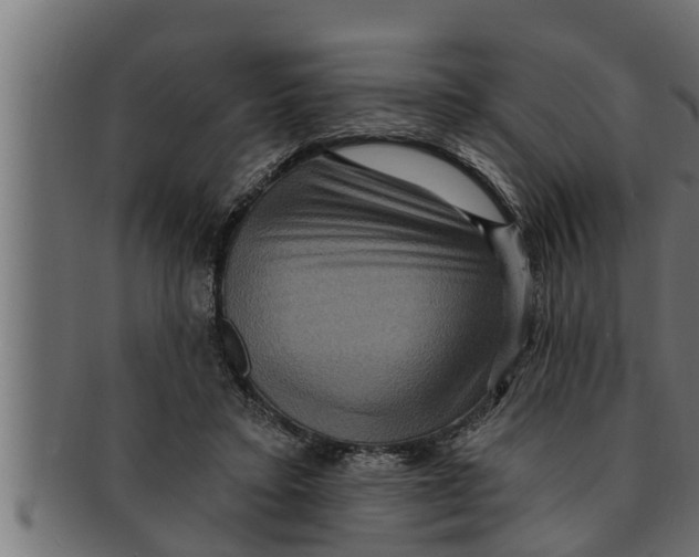 X0000091690403200709201302