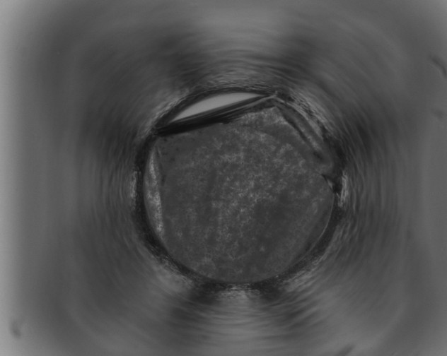 X0000091690404200709201302