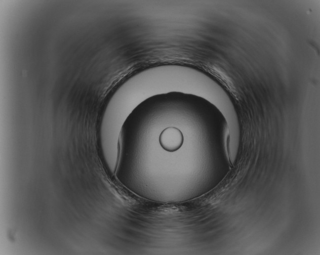 X0000091690405200709201302