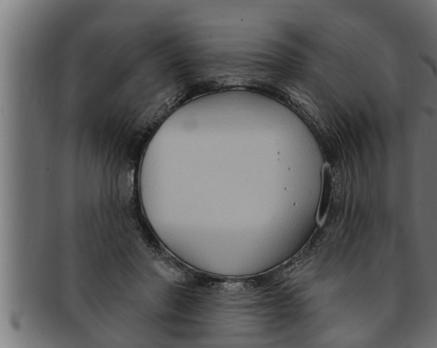 X0000091690406200709201302