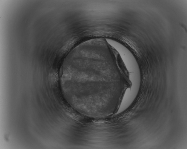 X0000091690407200709201302