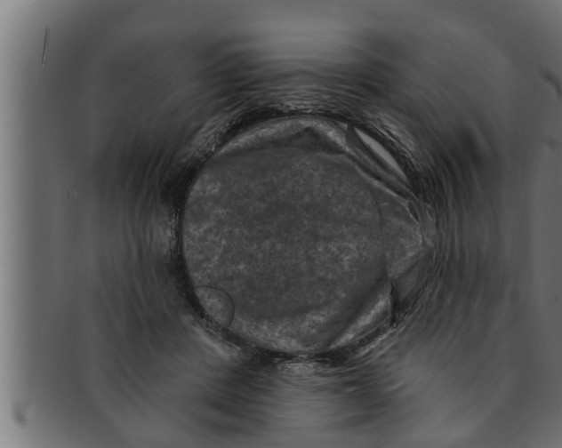 X0000091690408200709201302