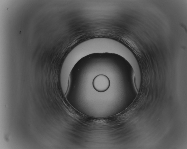 X0000091690409200709201302