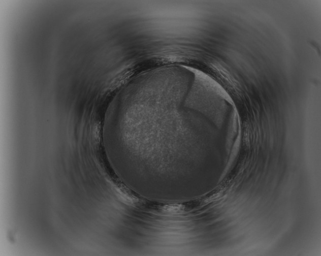 X0000091690410200709201302