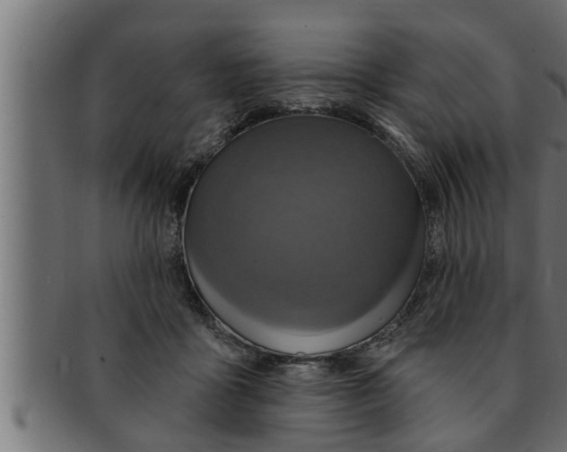 X0000091690411200709201302