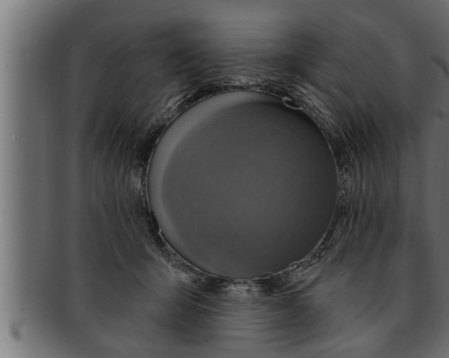 X0000091690415200709201302