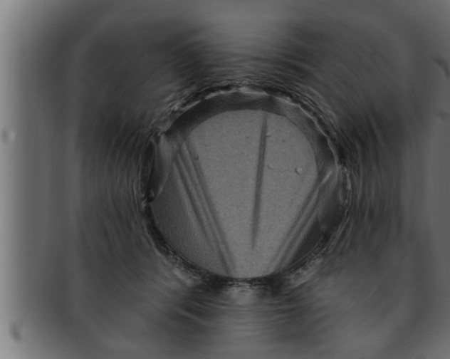 X0000091690416200709201302