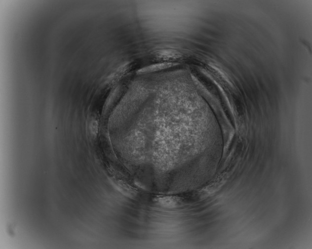 X0000091690417200709201302