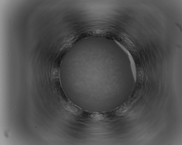 X0000091690419200709201302