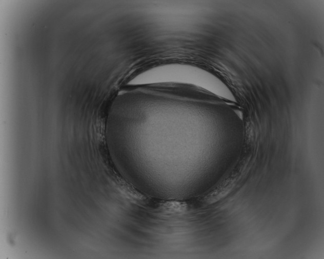 X0000091690421200709201302