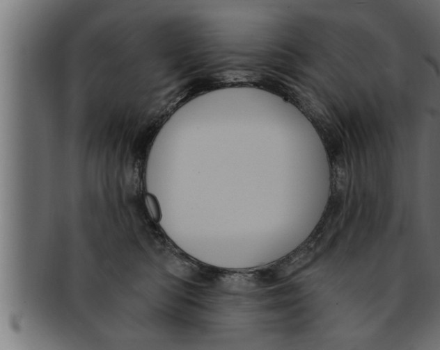 X0000091690422200709201302