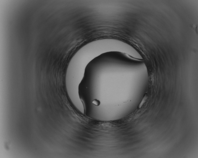 X0000091690423200709201302