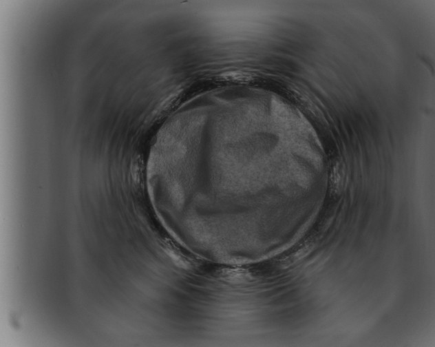 X0000091690424200709201302