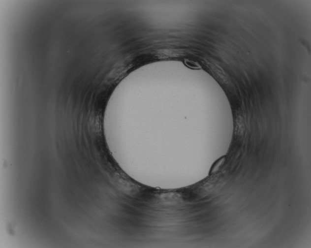 X0000091690426200709201302