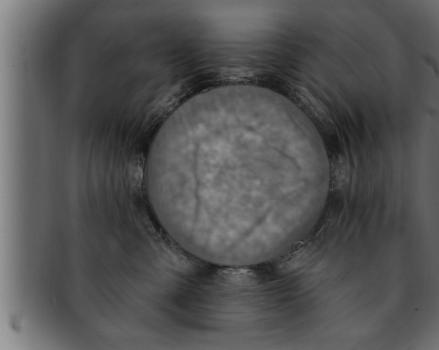 X0000091690427200709201302