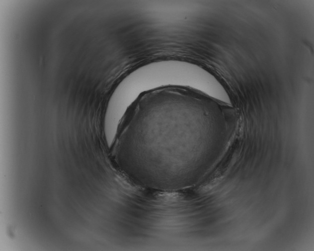 X0000091690428200709201302