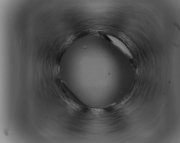 X0000091690429200709201302