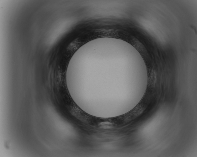 X0000091690430200709201302