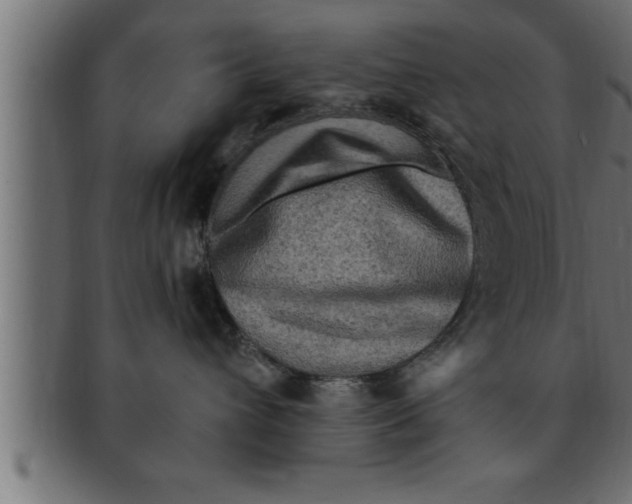 X0000091690432200709201302