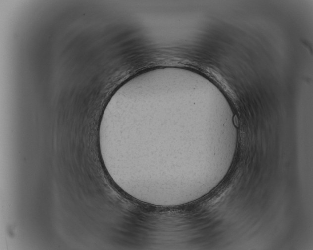 X0000091690433200709201301