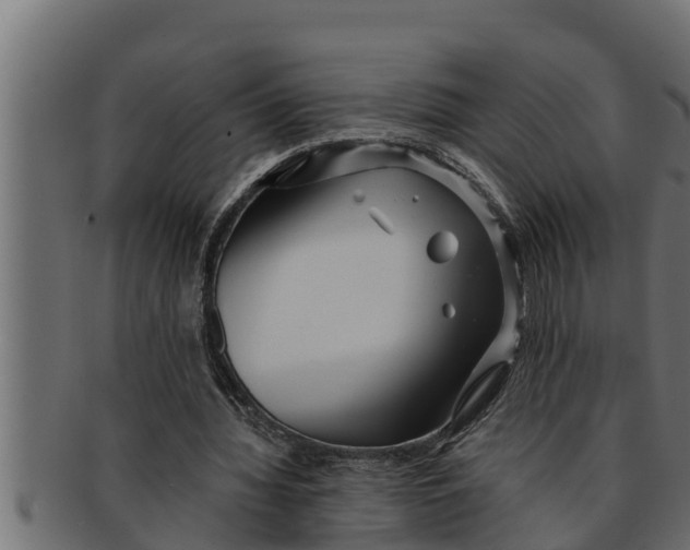 X0000091690436200709201301