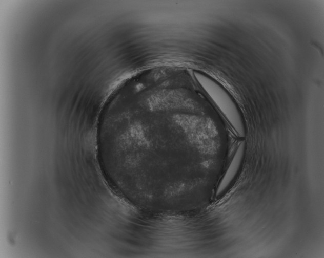 X0000091690438200709201301