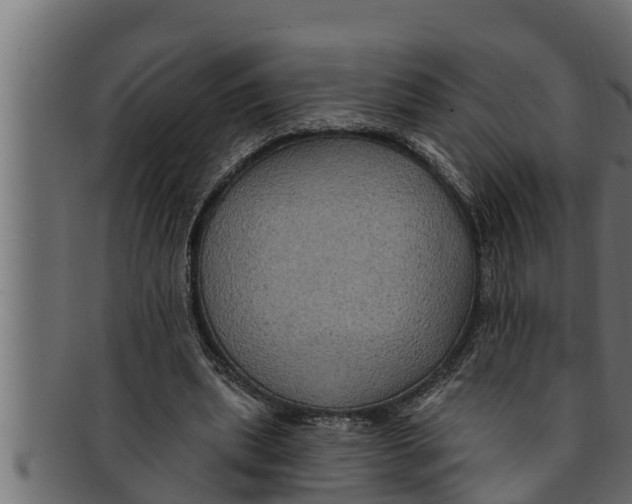 X0000091690439200709201301