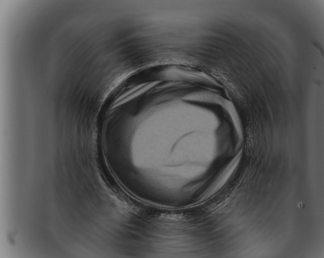 X0000091690440200709201301