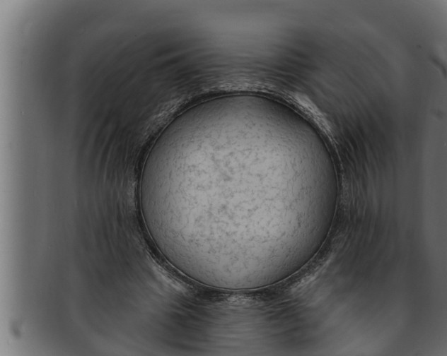 X0000091690441200709201301