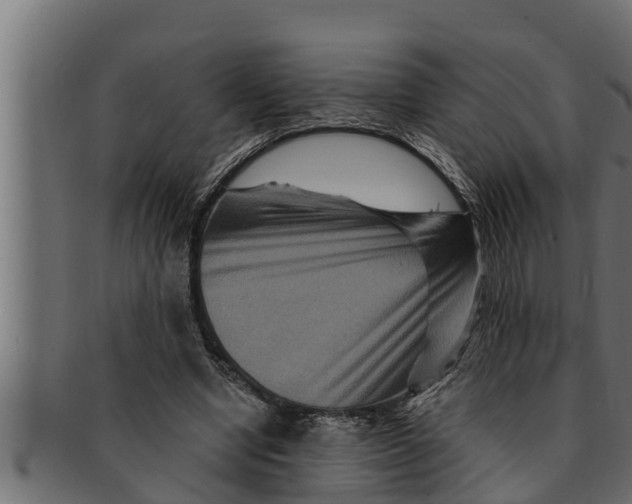 X0000091690442200709201301