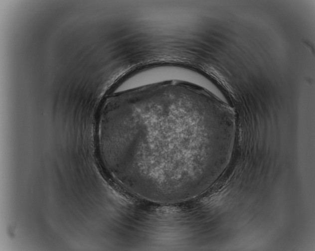 X0000091690444200709201301