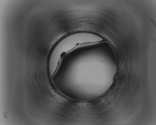 X0000091690446200709201301