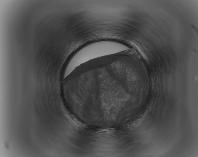 X0000091690447200709201301