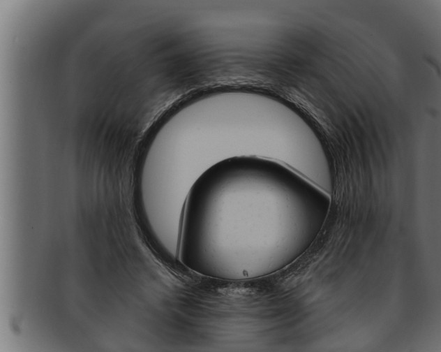 X0000091690448200709201301