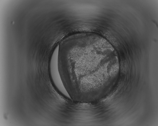 X0000091690449200709201301